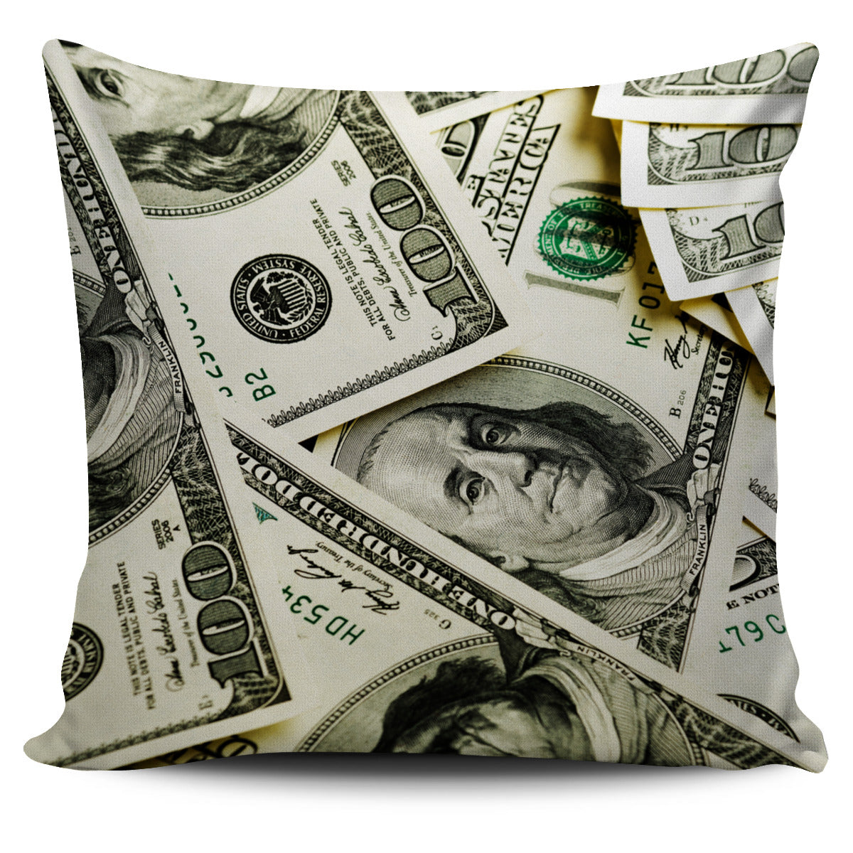 Money Pillow Covers